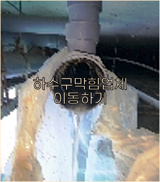 하수구