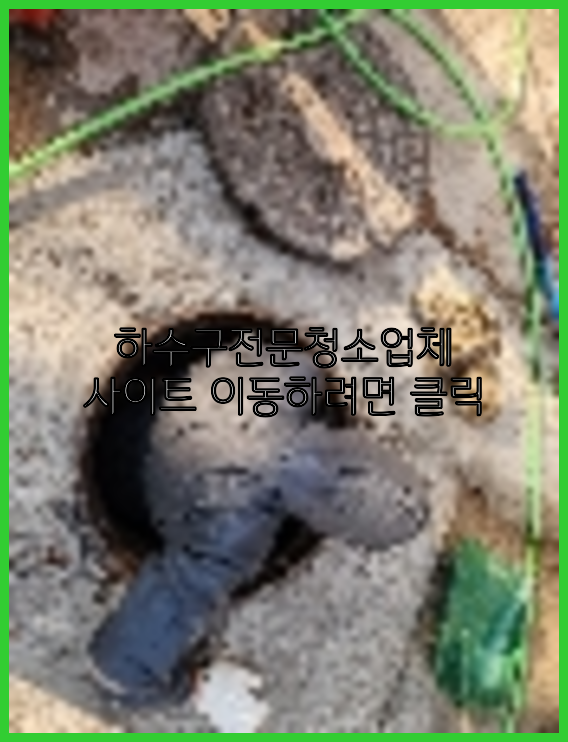하수구청소
