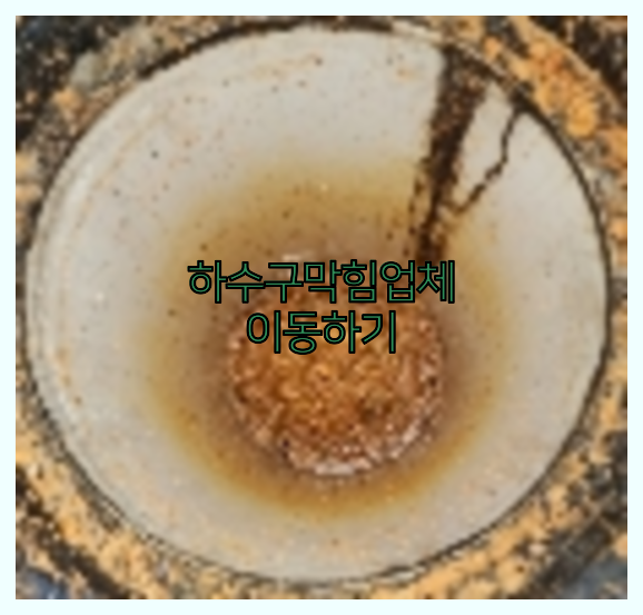 하수구막힘