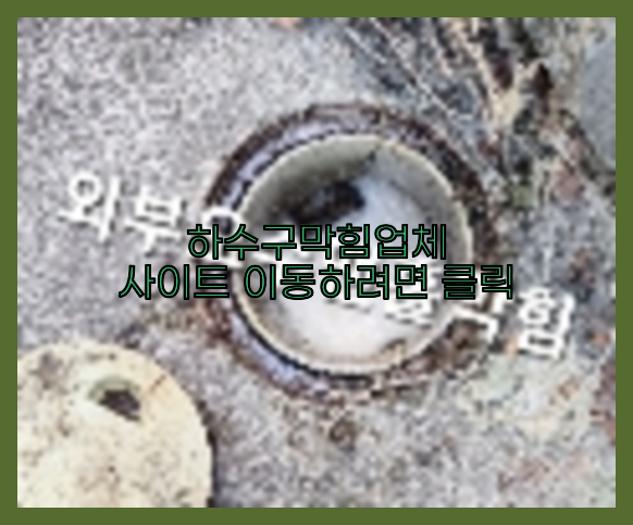 하수구청소