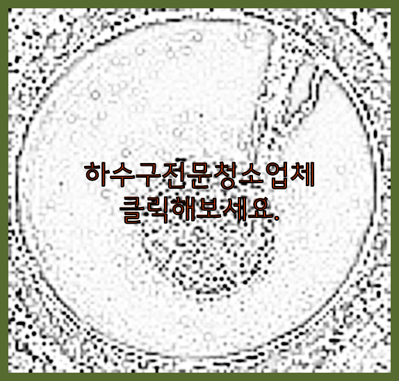 하수구