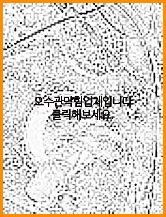 하수구