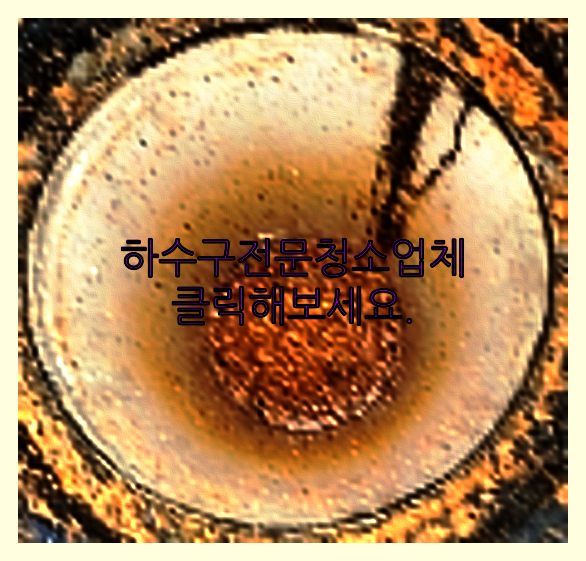 하수구막힘