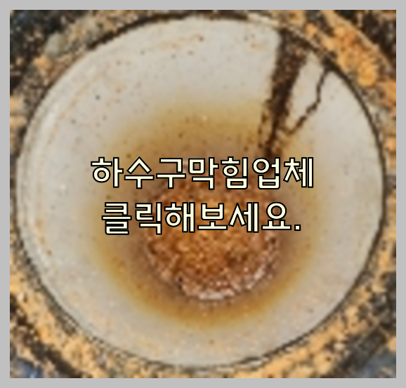 하수구청소