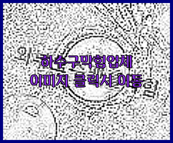하수구청소