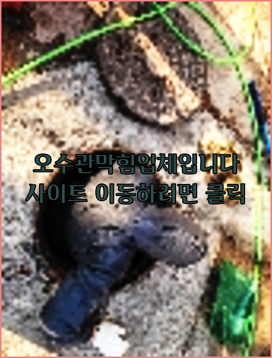 하수구청소