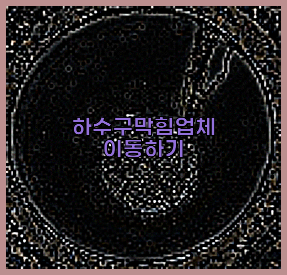 하수구청소