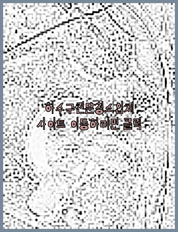하수구청소