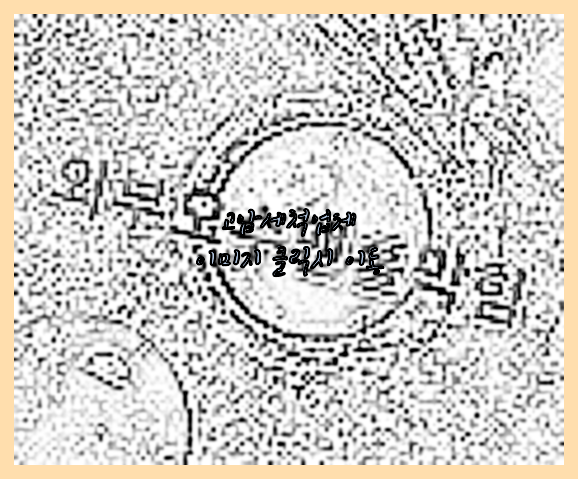하수구청소