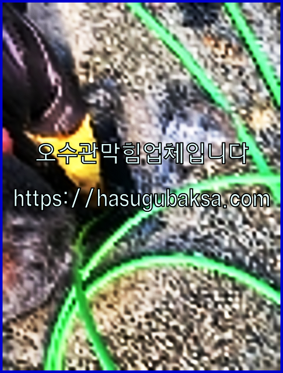 하수구