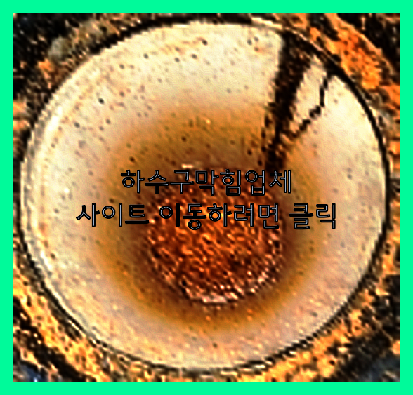 하수구청소