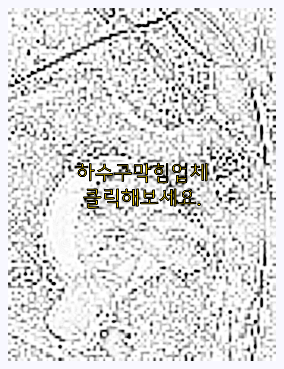 하수구청소