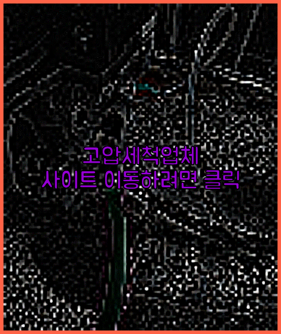 하수구청소