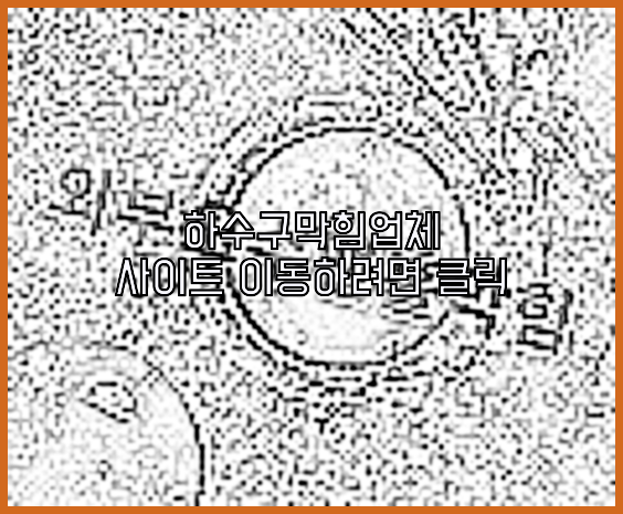 하수구