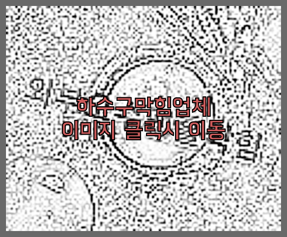 하수구