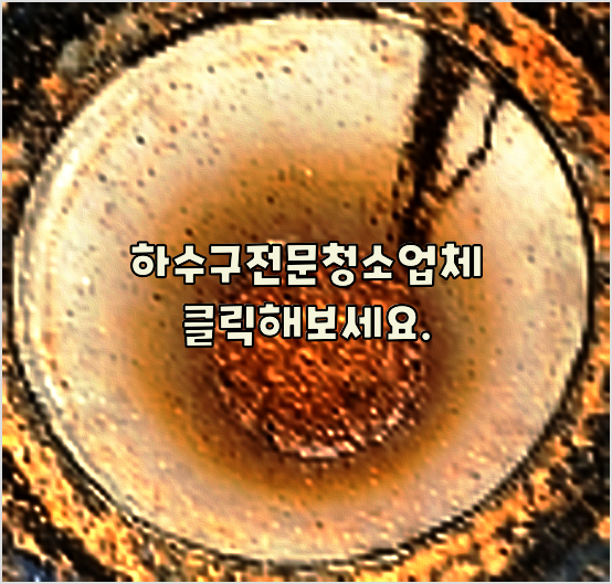하수구청소