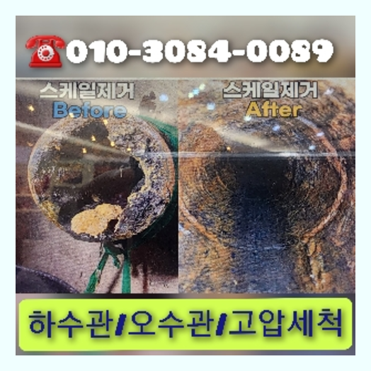 과천시 변기에서뽀글뽀글