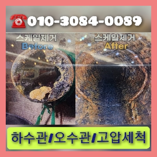 관악구 변기에서뽀글뽀글