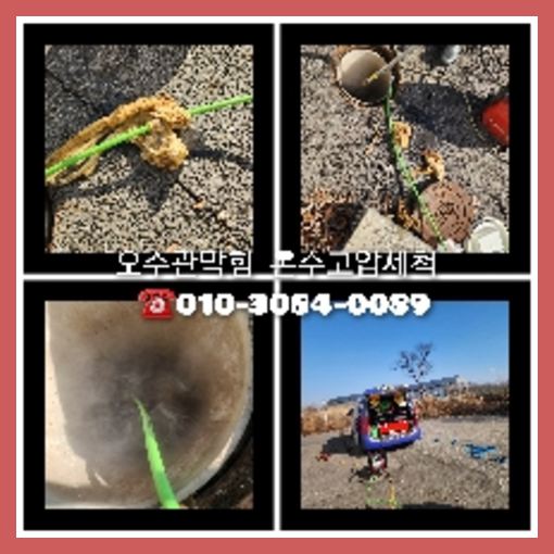 서대문구 <a href=