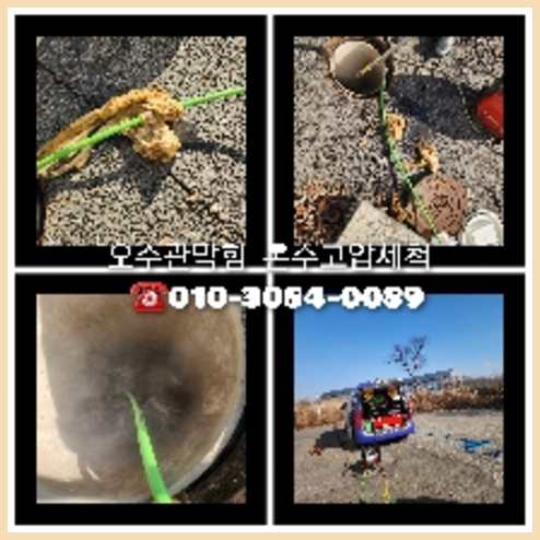 강서구 횡주관청소 <a href=