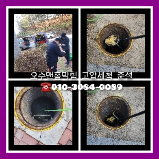 강남구 <a href=